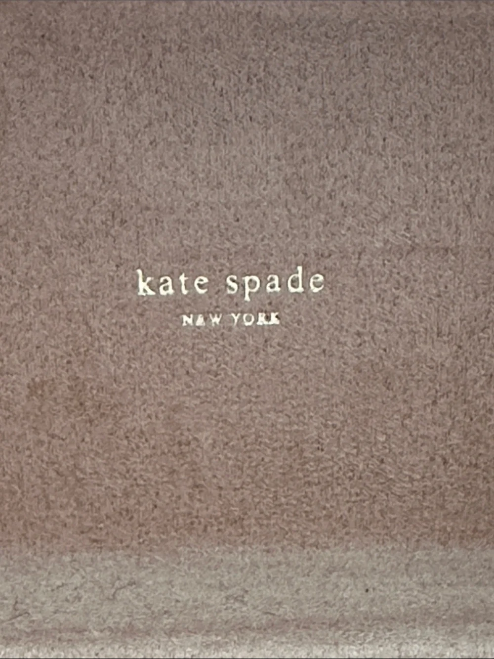 Kate Spade Rare Champagne Metal Embossed Box Clutch Minaudière